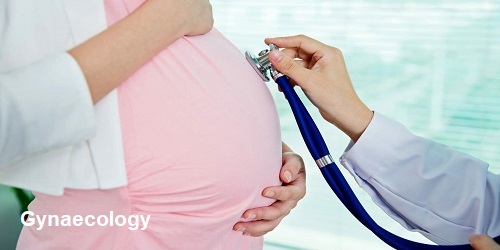 Gynaecology 2