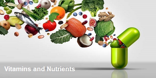 Nutritional supplement and vitamin supplements as a capsule with fruit vegetables nuts and beans inside a nutrient pill as a natural medicine health treatment with 3D illustration elements.